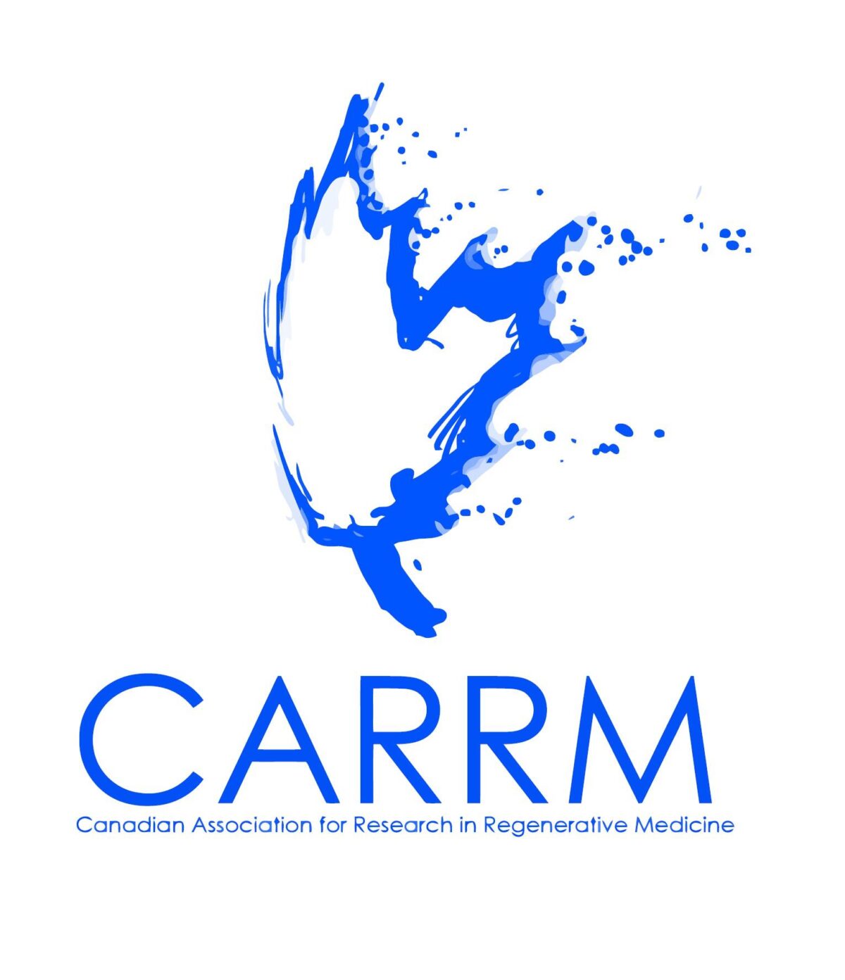 CARRM_Logo