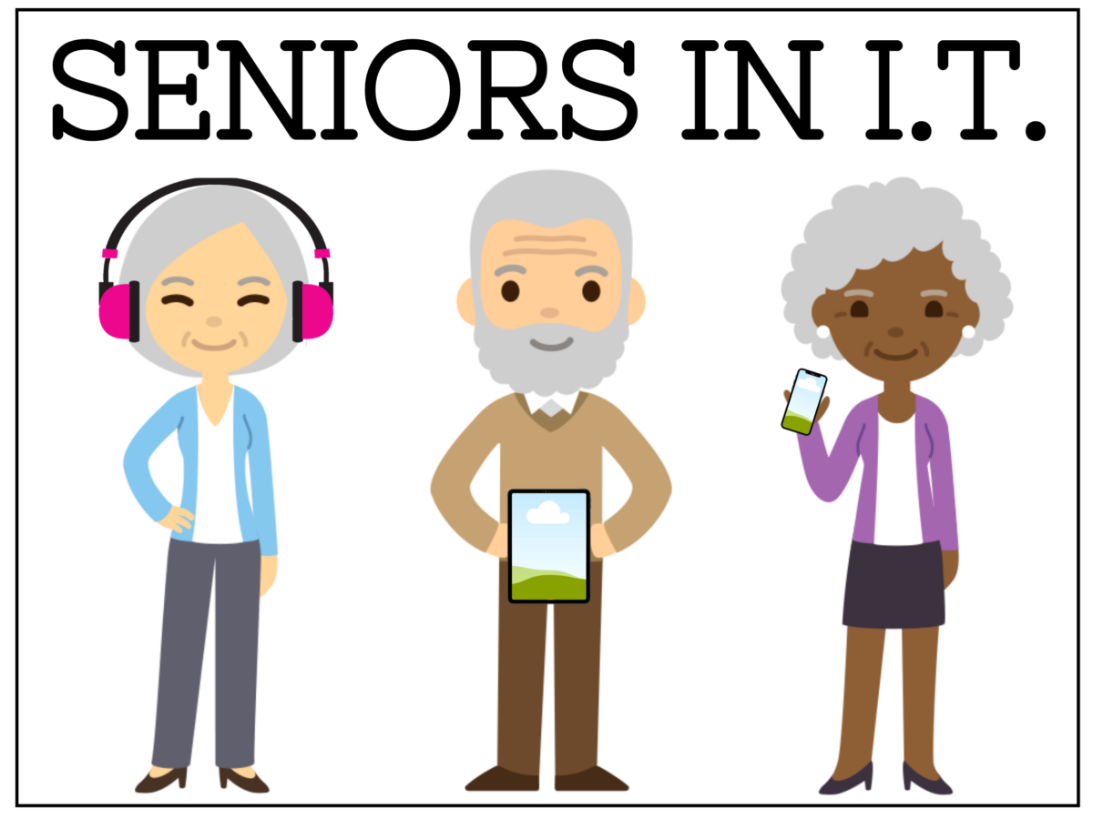 Seniors in IT logo